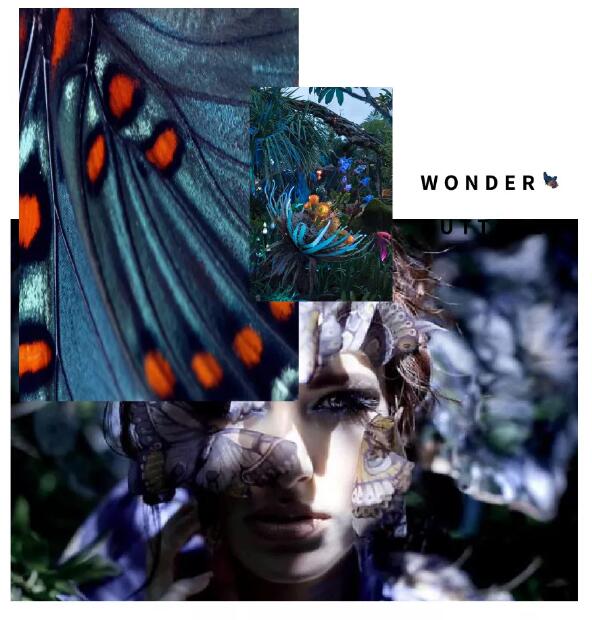 2019深圳時(shí)裝周倒計(jì)時(shí) | She's蝶變主題秀，四大看點(diǎn)提前get！