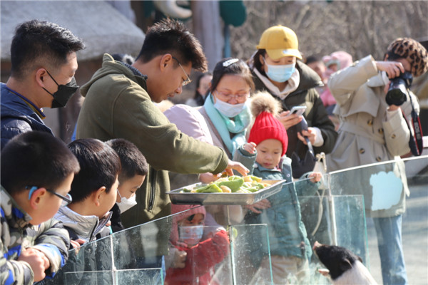 青島森林野生動(dòng)物世界萌寵動(dòng)物陪你留青就地過(guò)年