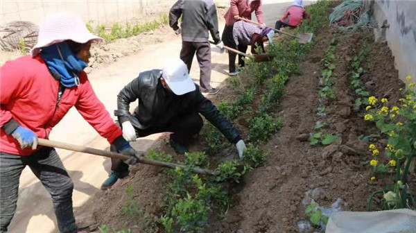 山東安丘經(jīng)濟開發(fā)區(qū)四項措施全力加快推進省食安城復(fù)審和國家衛(wèi)生城創(chuàng)建工作