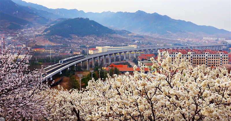 踔厲奮發(fā)奔未來 —嶗山區(qū)推進(jìn)經(jīng)濟(jì)社會(huì)高質(zhì)量發(fā)展紀(jì)實(shí)