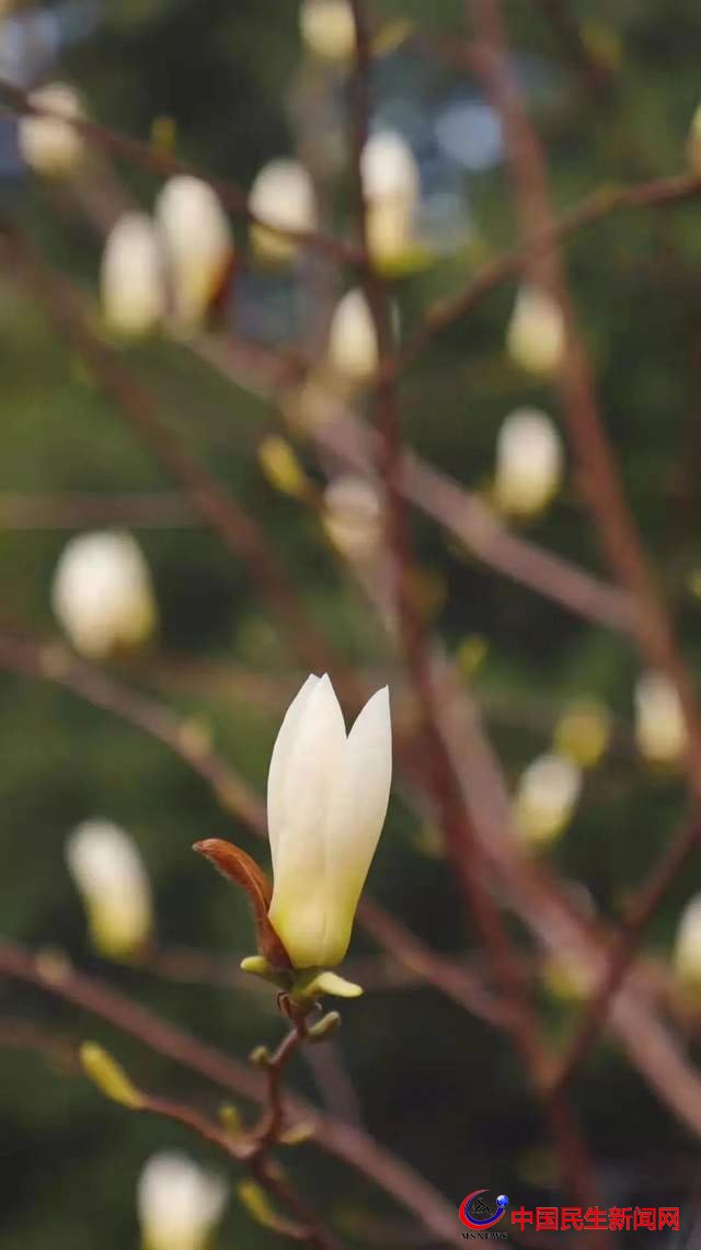 “凝聚精神的力量”恒星學(xué)院文化系列報(bào)道之六：核心精神：同心同德 自信自強(qiáng)