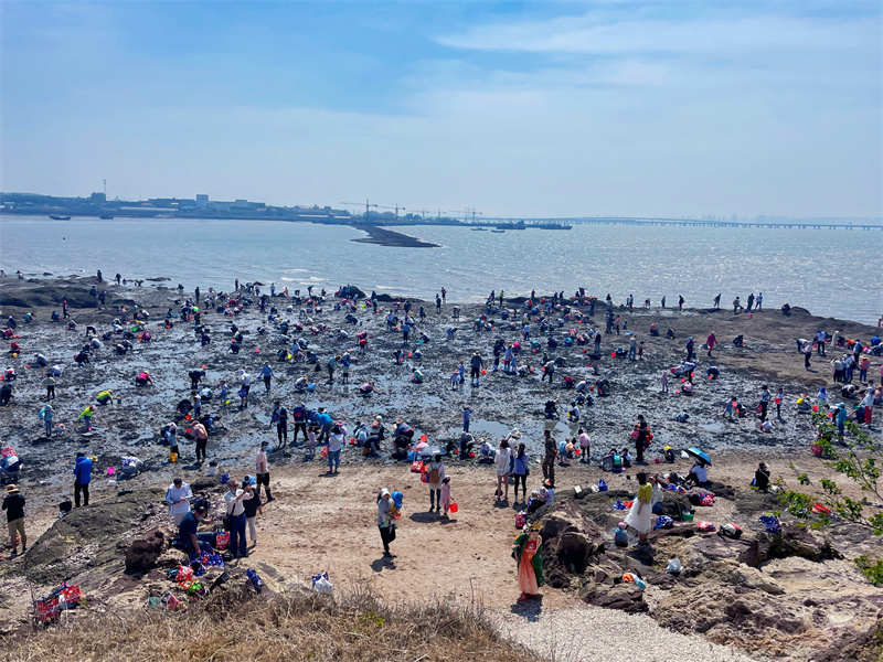 青島城陽紅島蛤蜊節(jié)啟動全域旅游序幕