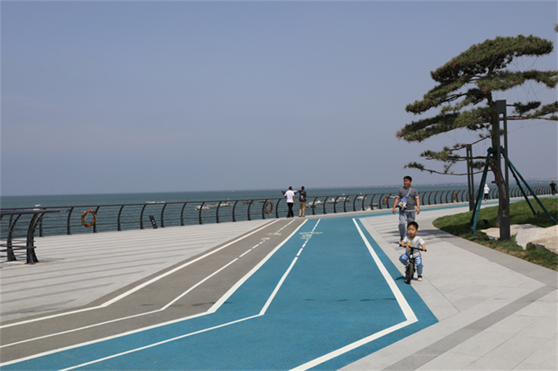 綠”動(dòng)海岸線，“道”處是風(fēng)景走，一起打卡市北濱海綠道看后海新“潮”