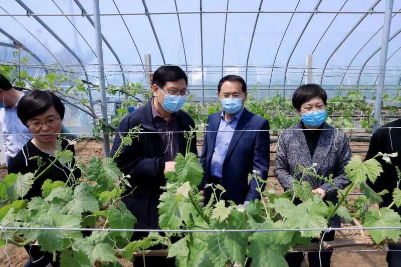 山東萊西:水集街道產(chǎn)芝湖新村打造鄉(xiāng)村振興現(xiàn)代版“富春山居圖”