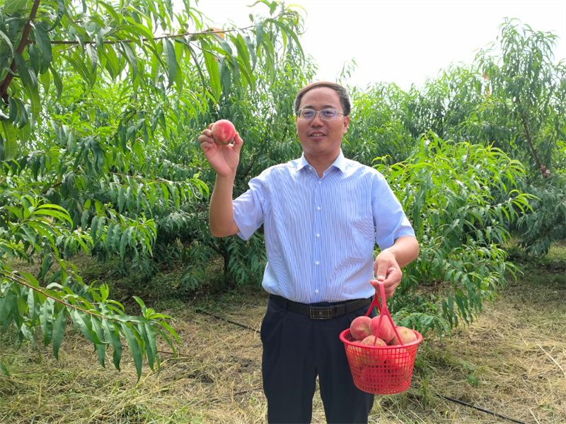 “百名主播鄉(xiāng)村行”智助淄博市文昌湖區(qū)鄉(xiāng)村振興