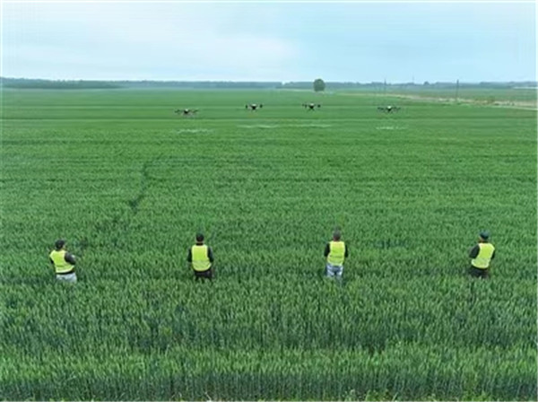 山東即墨區(qū)開展小麥“一噴三防”作業(yè) 確保夏糧豐收